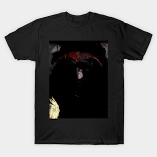 Portrait, digital collage and special processing. Dark fantasy. Tired warrior, beautiful diadem. Darker, more contrast. T-Shirt